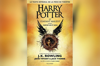 Harry Potter, une après-midi d'animations chez Gibert Joseph