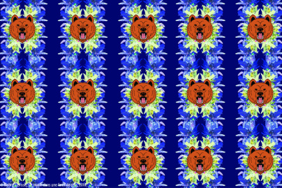 Fête de l'Ours au musée de la Chasse et de la Nature