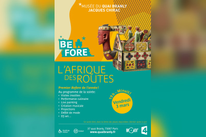 Before Afrique au musée du Quai Branly