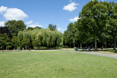 Un brin de lecture 2017, des salons de lecture dans les Hauts-de-Seine