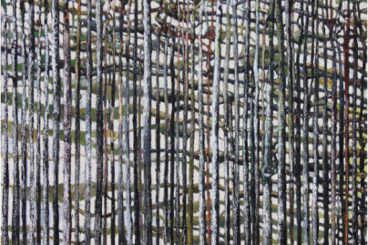 David Solis, l'expo gratuite à la Maison de l'Amérique latine