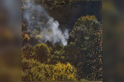 Miguel Rothschild, l'expo gratuite à la Maison de l'Amérique Latine