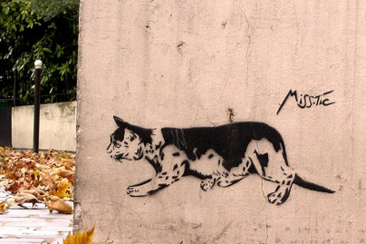 Chacun trouve son chat !