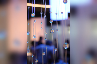 Au fil des araignées MNHN