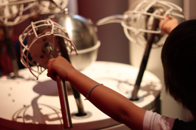 Au fil des araignées MNHN