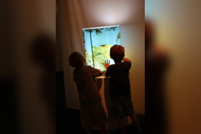 Au fil des araignées MNHN