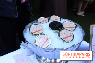 La Terrasse du Saint-James et son Bar à Rosés