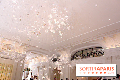 Peninsula : œuvre d'art