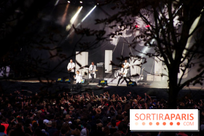 Rock En Seine 2014 - The Hives