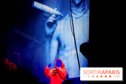 Rock En Seine 2014 - Die Antwoord