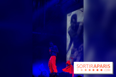 Rock En Seine 2014 - Die Antwoord