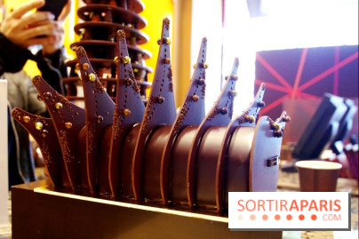 Bûche 2014 La Maison du Chocolat