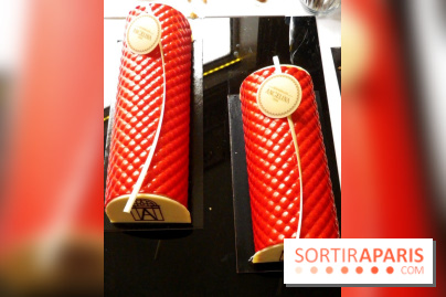 Angelina Bûche Framboise