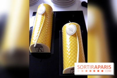 Angelina Bûche Passion