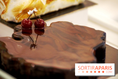 Bûche Gâteaux Thoumieux