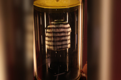 Le cheveu, de mèche avec la science au Palais de la Découverte