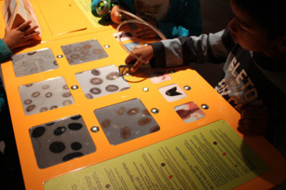 Le cheveu, de mèche avec la science au Palais de la Découverte
