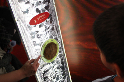 Les différentes textures du cheveu ou du poil