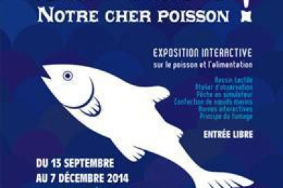 Affiche de l'expo Sauvage ! notre cher poisson