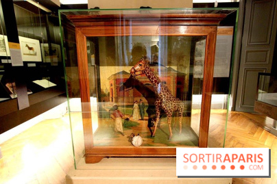 Les animaux célèbres de la Ménagerie, l'exposition
