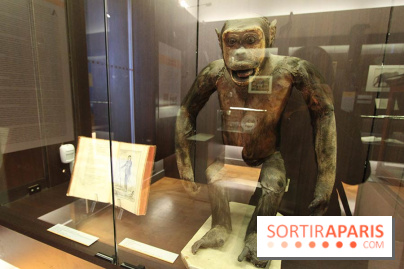 Les animaux célèbres de la Ménagerie, l'exposition