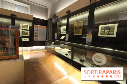 Les animaux célèbres de la Ménagerie, l'exposition