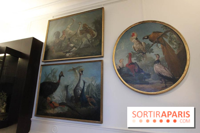 Les animaux célèbres de la Ménagerie, l'exposition