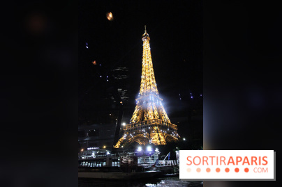 Dîner-croisière Marina de Paris