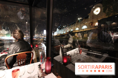 Dîner-croisière Marina de Paris