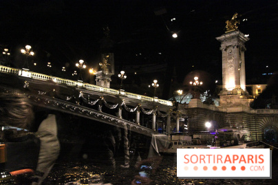 Dîner-croisière Marina de Paris