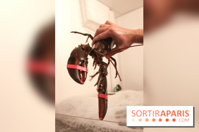 Les Pinces à Paris, le restaurant de Homard