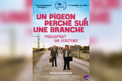 Un pigeon perché sur une branche philosophait sur l'existence