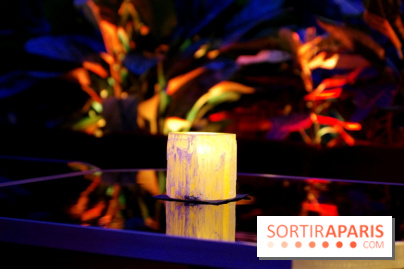 Le Très Particulier - la verrière