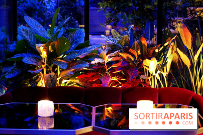 Le Très Particulier - la verrière