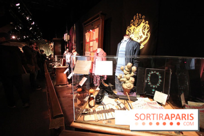 Exposition Harry Potter à Paris, Cité du Cinéma