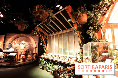 Exposition Harry Potter à Paris, Cité du Cinéma