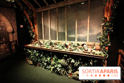 Exposition Harry Potter à Paris, Cité du Cinéma