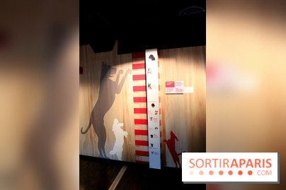 Exposition Chiens et Chats à la Cité des Sciences