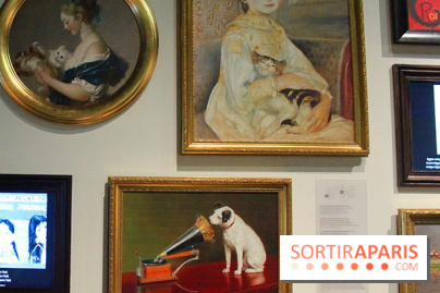 Exposition Chiens et Chats à la Cité des Sciences