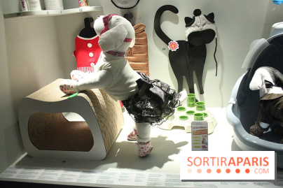 Exposition Chiens et Chats à la Cité des Sciences