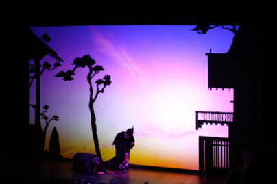 Princes et princesses de Michel Ocelot