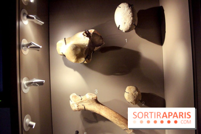 La Grotte de Lascaux à Paris !