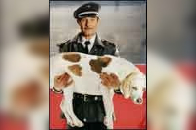 La Nouvelle vie de Monsieur Horten