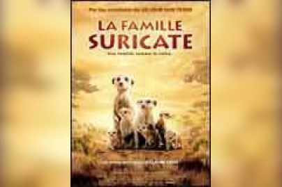 La Famille Suricate
