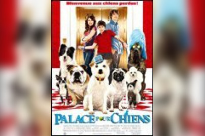 Palace pour chiens