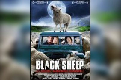 Black Sheep