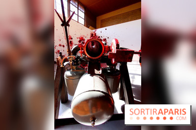 Shooting into the Corner  d'Anish Kapoor au Château de Versailles