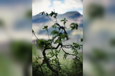 Lana - de Terry Weifenbach