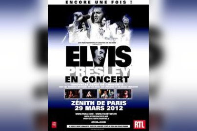 Elvis the Concert