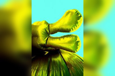 Champion Metadier, “Capture” série inédite de photographies